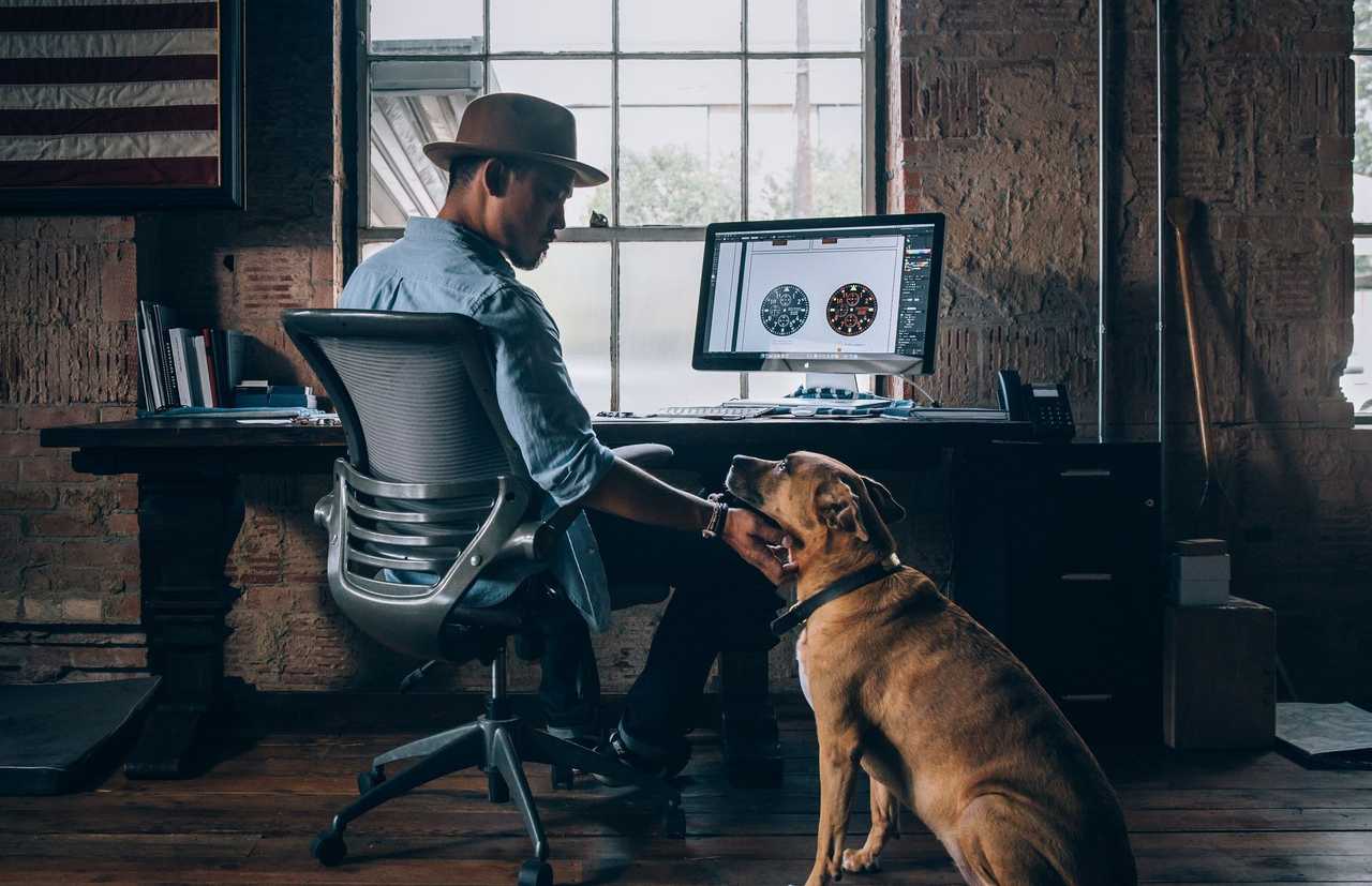 Self-hosted tools for web development